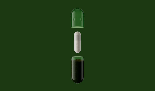 Daily Synbiotic